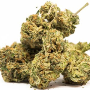 OG Kush Strain Premium Indica-Dominant Hybrid Cannabis for sale in Portland Oregon